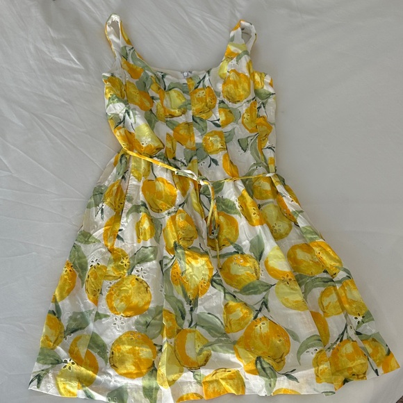 Pappagallo Other - Pappagallo Lemon Print Dress - Yellow and White - 4